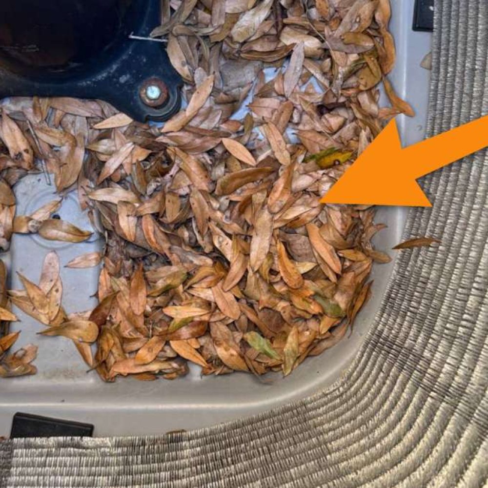 Why Regular HVAC feature